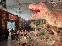 20231206_143355-kopiowanie-jpg1706635991